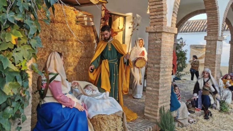 Secret Andalusia: fiestas, roots, and authentic flavors from Seville - Real Feedback from Travelers