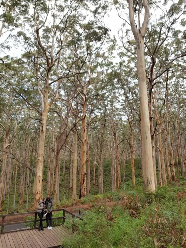 Secret Delights: Curated Wine, Coffee & Forest Experience - Frequently Asked Questions