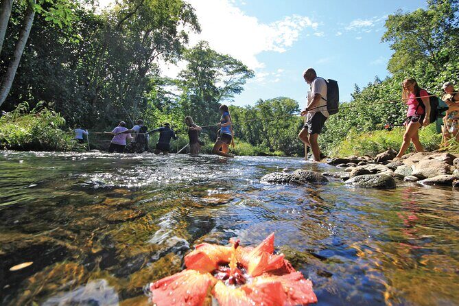 Secret Falls Kayak and Hike in Kauai - The Reward: Uluwehi Falls