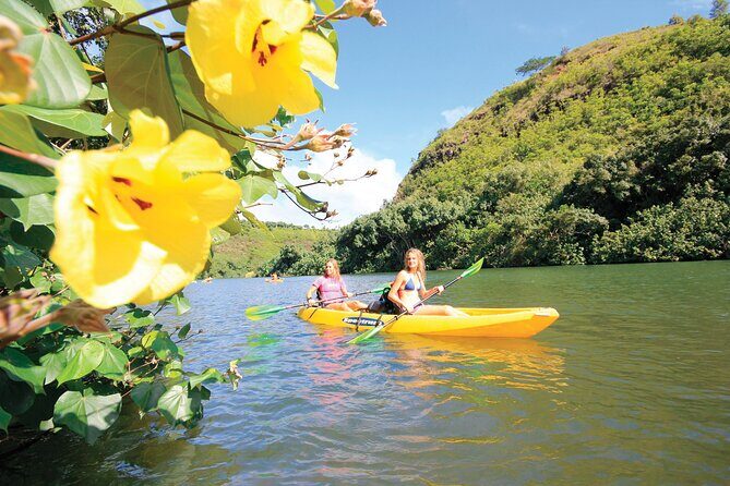 Secret Falls Kayak and Hike in Kauai - What Could Be a Downside?