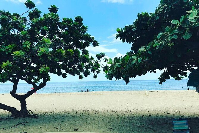 Secret Kauai Canyons & Coastlines Tour - Exploring the Itinerary in Detail