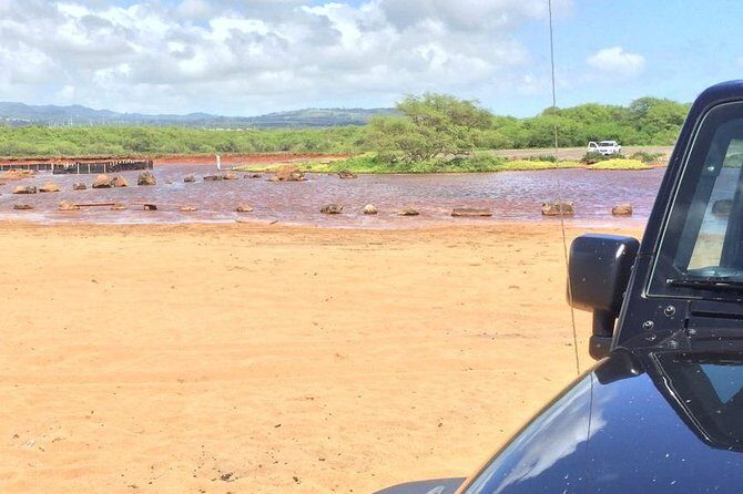 Secret Kauai Canyons & Coastlines Tour - What the Reviews Tell Us