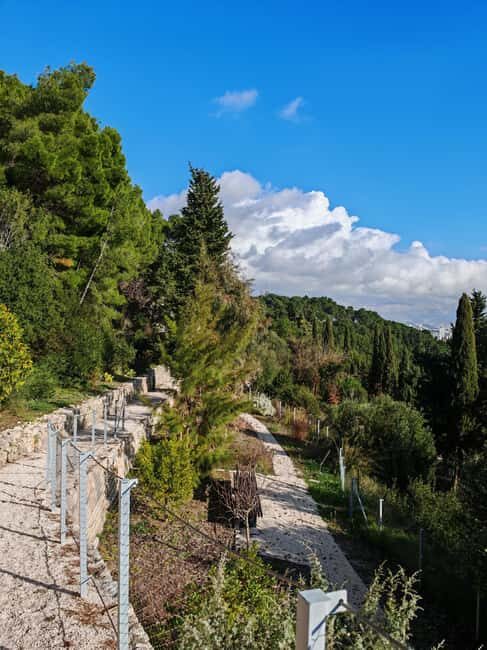 Secret Marjan Park Hiking Tour in Split - Key Points