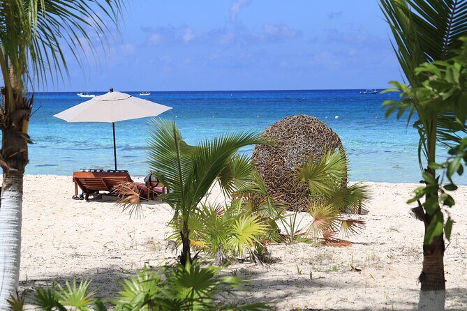 Secret Palancar Beach Experience - How the Itinerary Unfolds