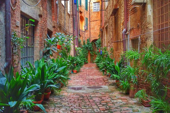 Secret Siena Walking Tour - FAQ