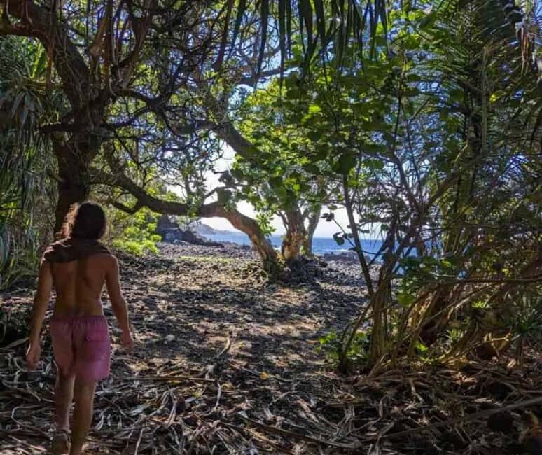 Secret Tide Pool Hike - Jungle & Coast - Private - Final Thoughts