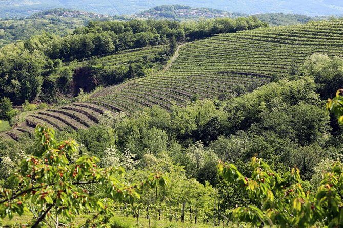 Secret vineyards E-bike tour - FAQ