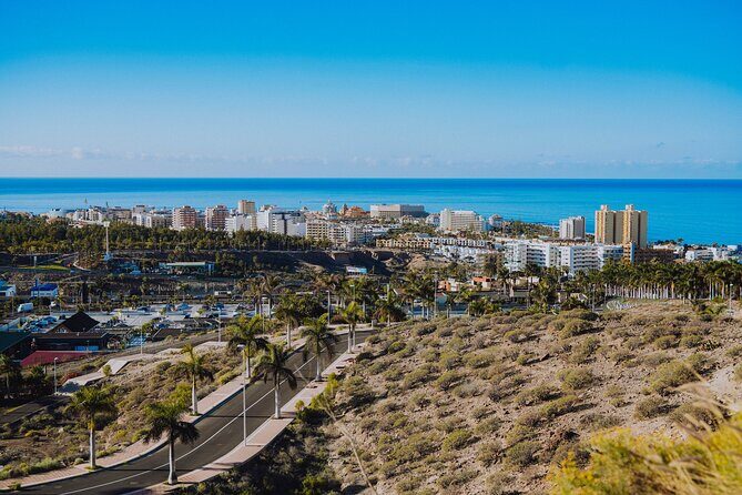 Secret Volcano Tour by Tuk Tuk in Costa Adeje - The Sum Up
