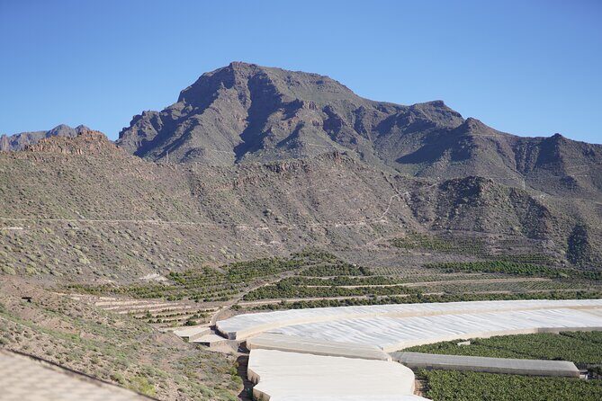 Secret Volcano Tour by Tuk Tuk in Costa Adeje - FAQ