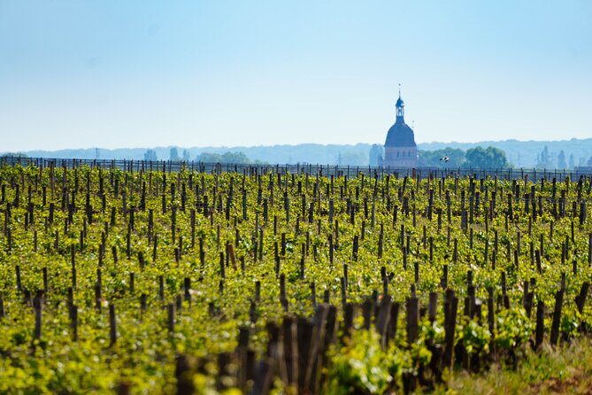 Secrets of Bordeaux Self Guided Tour - Final Thoughts