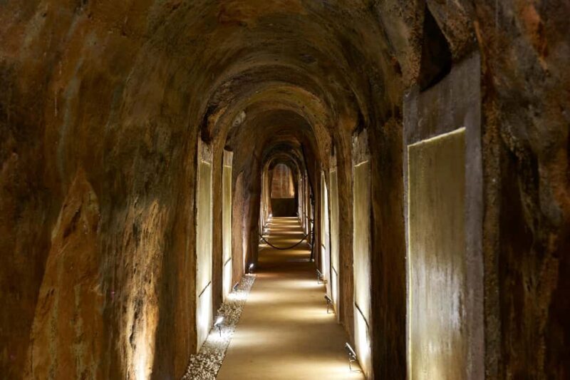 Secrets of Dorado Wine - An In-Depth Look at the Secrets of Dorado Wine Tour