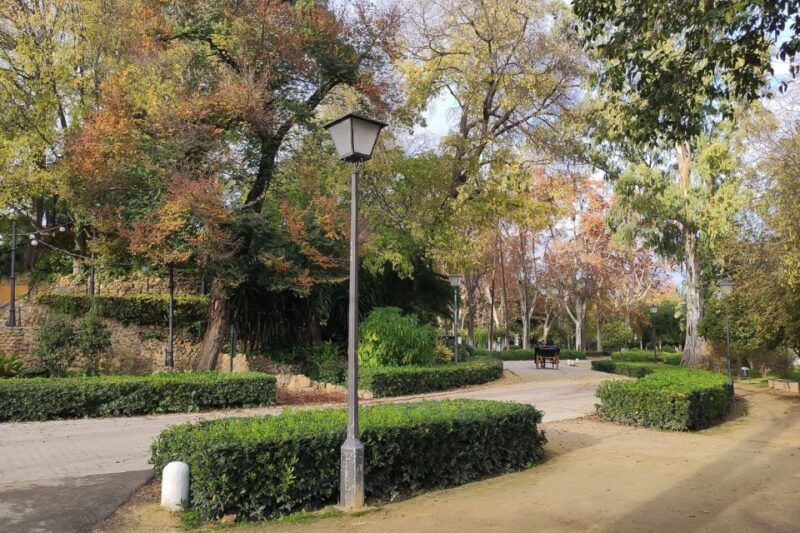 Secrets of Maria Luisa Park and Plaza de Espana - Who Should Consider This Tour?