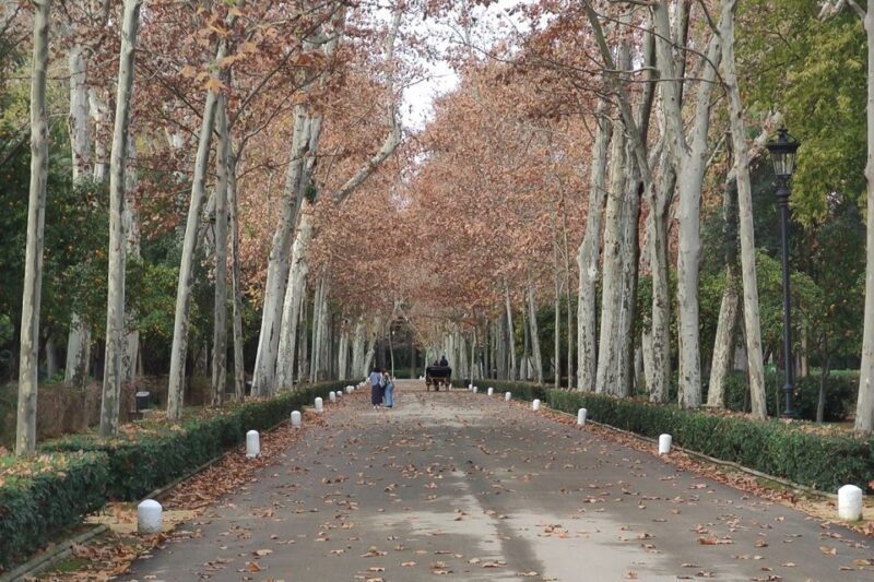 Secrets of Maria Luisa Park and Plaza de Espana - FAQ