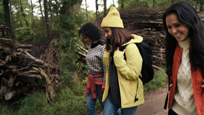 Secrets of Stonehenge: Private Half-Day Tour from Bath - The Itinerary in Detail