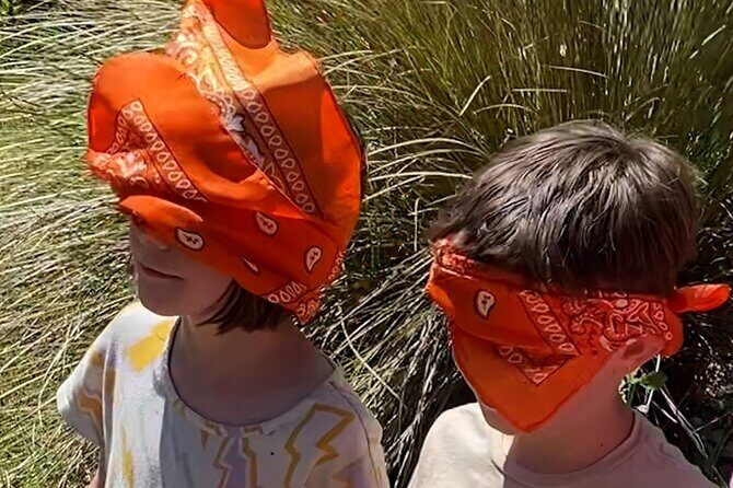 Secrets of the Forest Outdoor Escape Room Experience - What to Expect from the "Secrets of the Forest" Experience