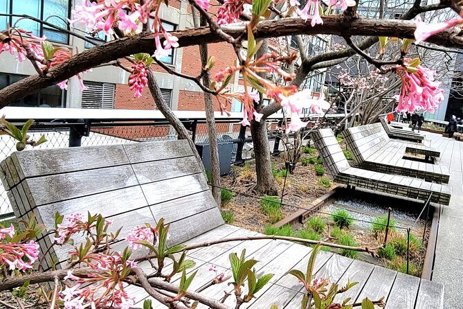 Secrets of the High Line - Practical Details and Considerations