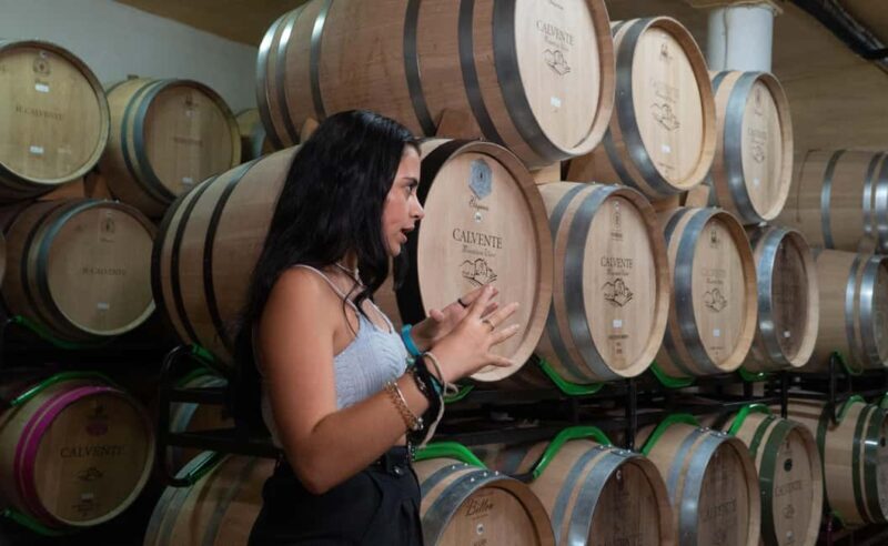 Secrets of Wine: Immersion in the Winery and Professional Tasting - Similar Experiences & Alternatives