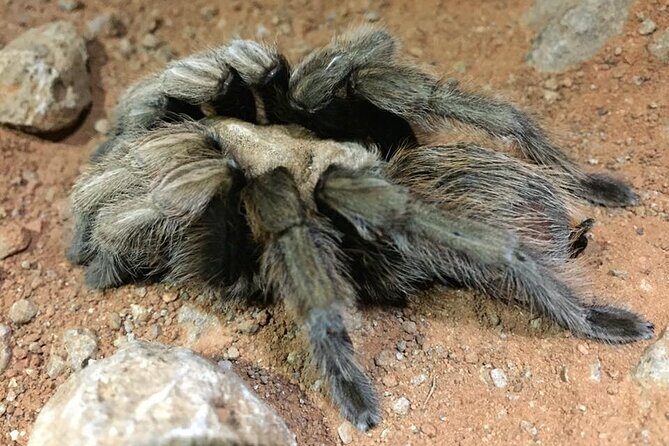 Sedona Creekside of Cathedral Rock Hike With a Private Guide - The Experience’s Pros and Cons