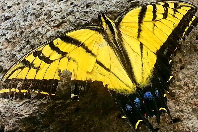 Sedona Creekside of Cathedral Rock Hike With a Private Guide - Who Is This Tour Best For?