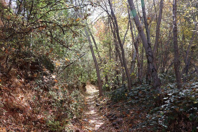 Sedona Easy Hiking Tour with a Private Guide - FAQ
