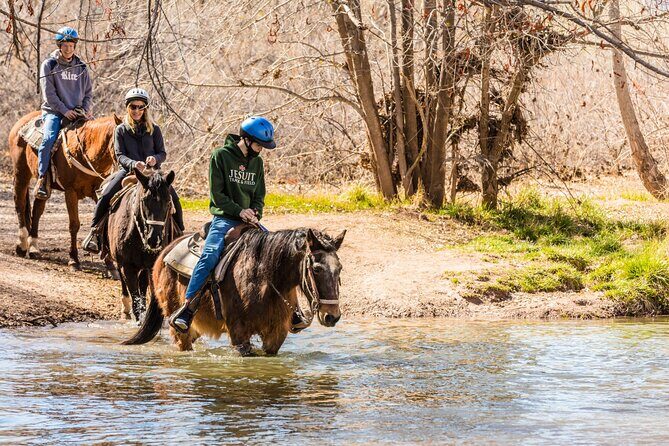 Sedona Horseback Rides At Dead Horse Ranch with River Crossing - The itinerary in detail — what to expect