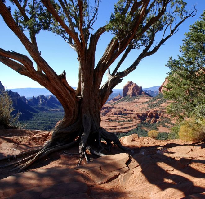 Sedona: PRIVATE 2-Hour Colorado Plateau Scenic Jeep Tour - FAQs