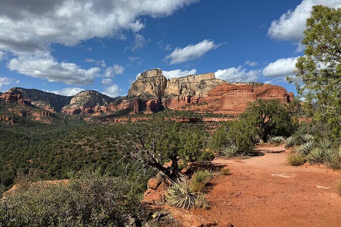 Sedona Red Rock Country Private Sightseeing Tour - Who Is This Tour Best For?
