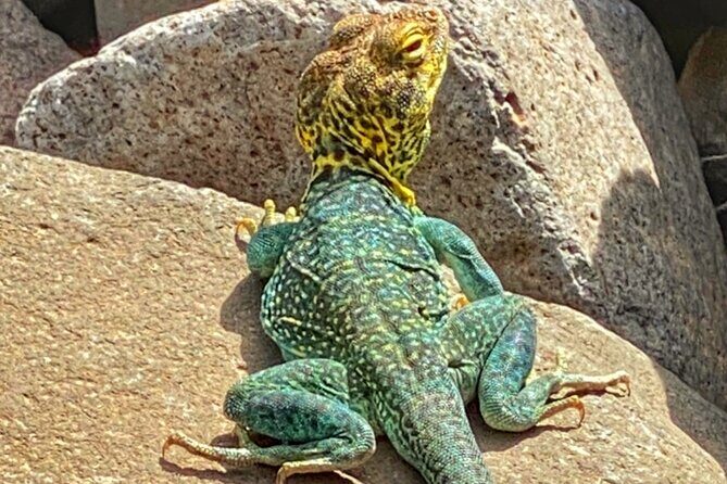 Sedona Sacred Canyons Loop Hike With a Private Guide - Why This Guided Hike Might Be the Perfect Choice for You