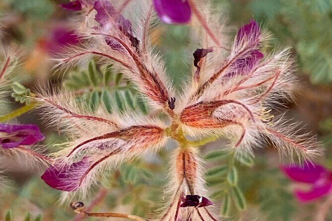 Sedona Sacred Canyons Loop Hike With a Private Guide - Is It Worth the Price?