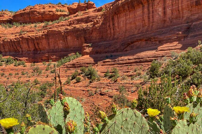 Sedona Sacred Canyons Loop Hike With a Private Guide - Practical Details and Tips