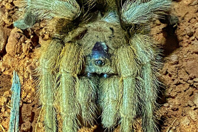 Sedona Sacred Canyons Loop Hike With a Private Guide - Who Will Love This Tour?