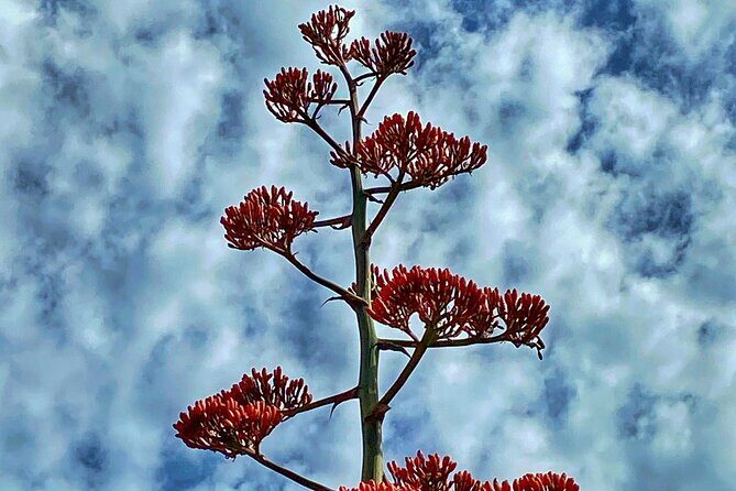 Sedona Sacred Canyons Loop Hike With a Private Guide - Final Thoughts