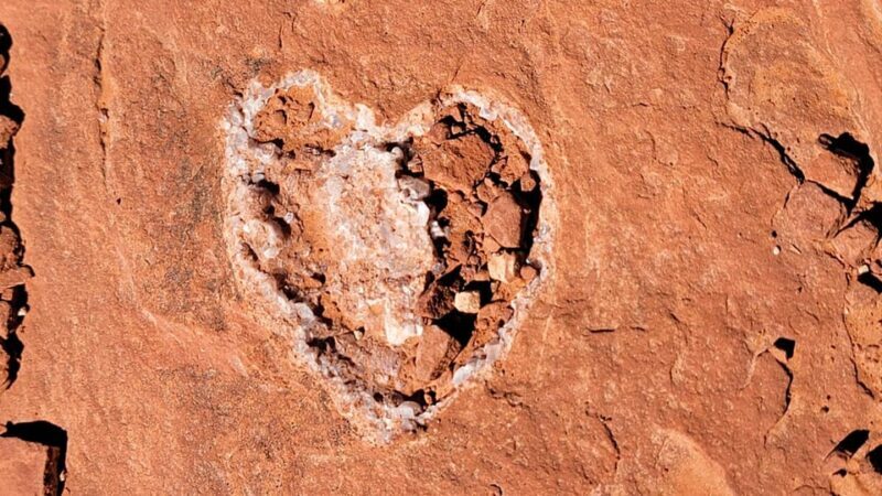 Sedona: The Scientific and Spiritual Vortex Tour - What to Expect From This Tour