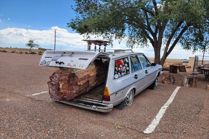 Sedona to Petrified Forest/Painted Desert Adventure PRIVATE TOUR! - What to Expect from the Tour