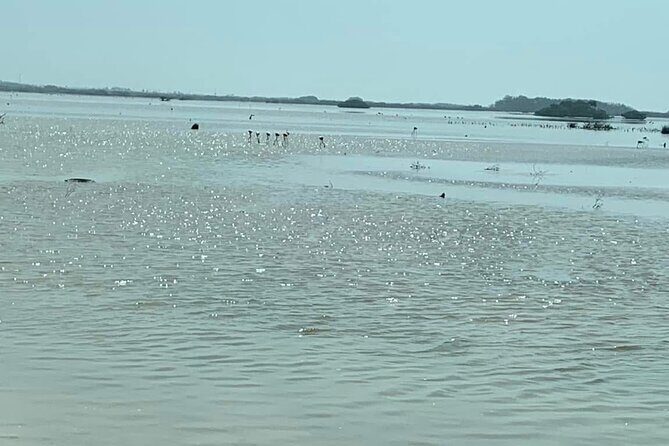 See the 5 Most Visited Points in Progress - Exploring Each Stop: What You Can Expect