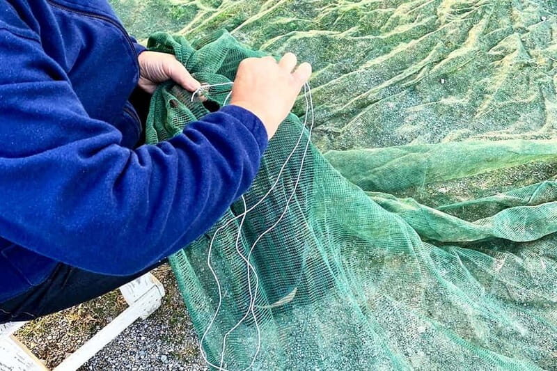 Seggiano: Guided Tour of the Olive Grove and Food Tasting - Final Thoughts: Who Should Consider This Tour?