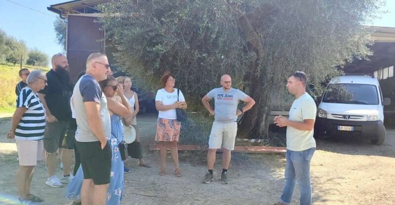 Seggiano: Typical Tuscan Farm Tour with Olive Oil Tasting - Key Points