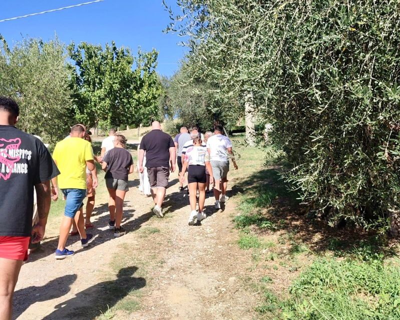 Seggiano: Typical Tuscan Farm Tour with Olive Oil Tasting - The Sum Up
