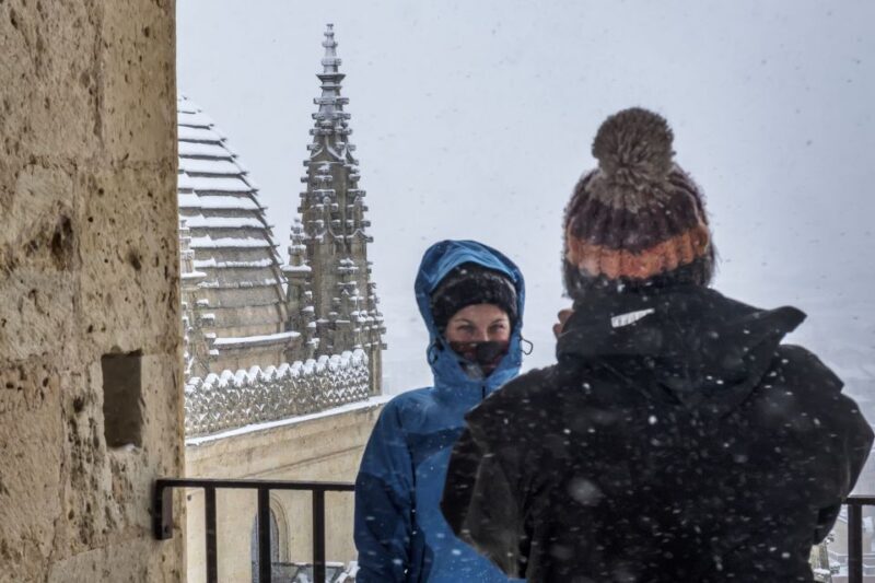 Segovia: Cathedral Tower Guided Tour - Who Is This Tour Best Suited For?