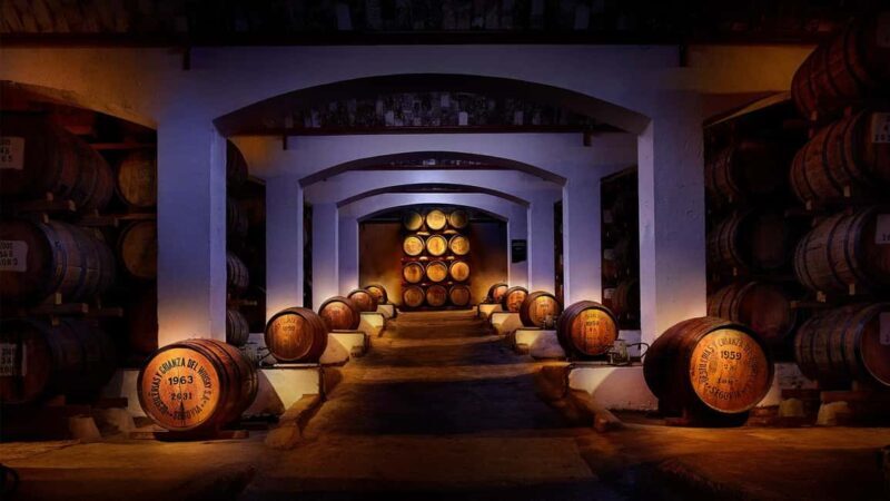 Segovia: Guided tour of the DYC Distillery with whiskey tasting - Key Points