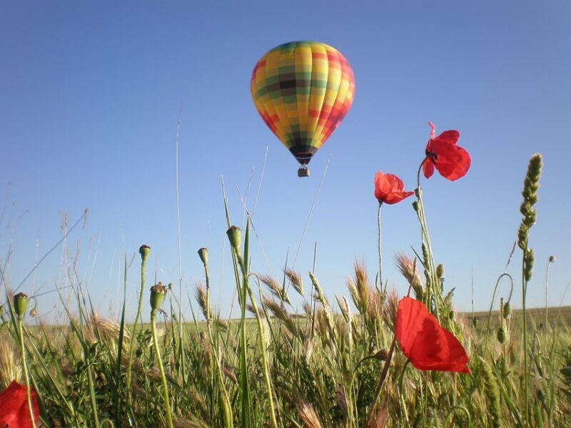 Segovia: Hot-Air Balloon Flight with Optional 3-Course Lunch - What the Reviews Say