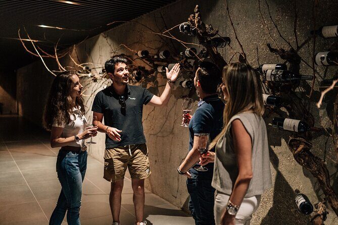 Segovia & Ribera del Duero Winery with Wine Tasting from Madrid - A Closer Look at the Itinerary: What to Expect