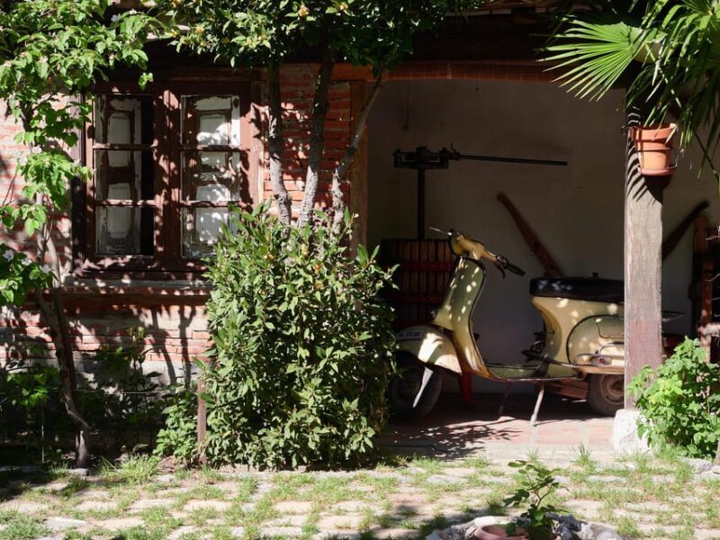 Segovia: Winery Tour with Wine Tasting - The Visit: What to Expect