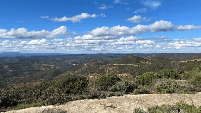 Segredos do Algarve: Tour Guiado (Full Day) - Practical Tips for Your Day