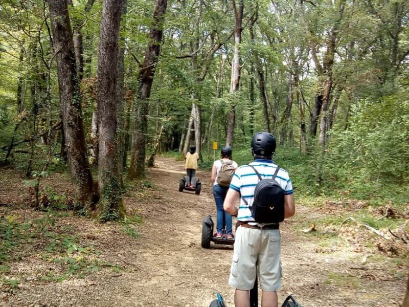 Segway hike 2h00 Aix les Bains between lake and forest - Final Thoughts: Is This Tour for You?