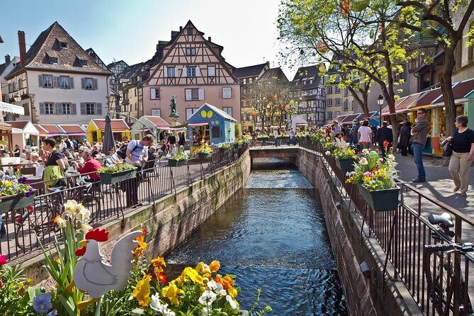 Segway Tours 2h in Colmar - Exploring Colmar on a 2-Hour Segway Tour: A Practical Review