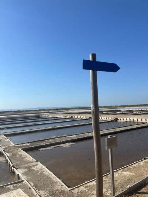 Seixal: Guided Tour to the Salt Pans of Alcochete - A Close Look at the Tour