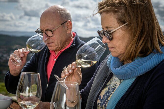 Selection Tasting | Quinta de Santa Cristina Vinho Verde - Key Points