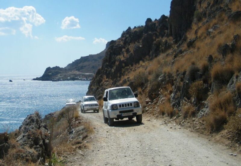 Self-Drive Jeep Safari to South Coast, Palm Beach & Canyons - Who Should Consider This Tour?