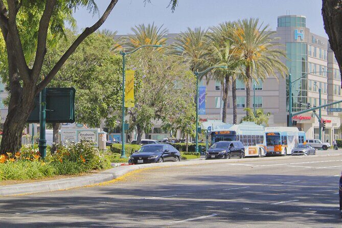 Self-Guided Anaheim Scavenger Hunt: Anaheim Grapes To Glory - The Review: Pros and Cons Based on Feedback